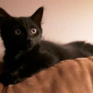 Meet your Posher, Ingrid